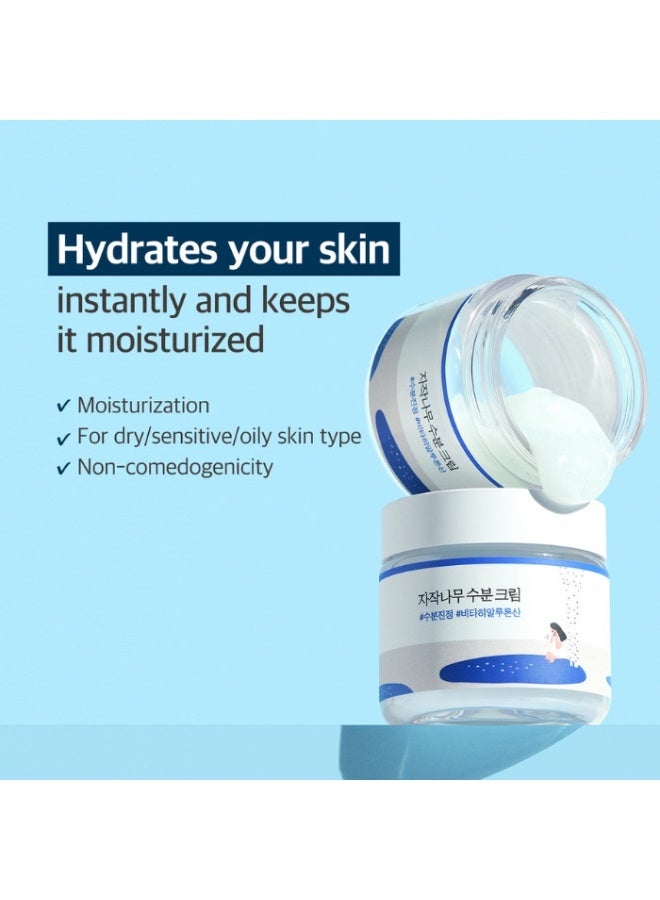 ROUND LAB Birch Juice Moisturizing Cream | Deep Hydration & Skin Barrier Care - 80ml - Image 4